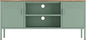 Manhattan Comfort Landen 47" Modern Metal TV Stand with Storage Cabinets & Open Shelves, Holds Up to 40" Screen, TV Console with Natural Wood Top, Cable Management, Adjustable Legs, Green