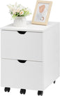HollyHOME Under Desk Cabinet, Deep 2-Drawer Mobile Wood Cabinet, Storage Drawer for Home, Rolling Shelf for Office, Rolling Printer Stand, for A4, Modern, White