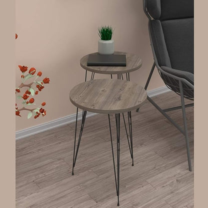 PAK HOME - Set of 2 Pine Wood Grey End Table – Round Wood Sofa Side Coffee Tables for Small Spaces, Nightstand Bedside Table for Bedroom, Living Room, Home Office, Balcony