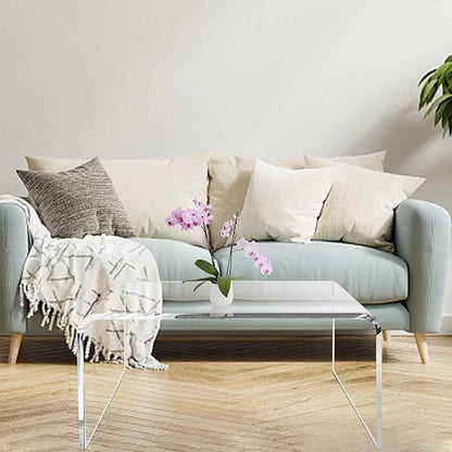 40inch Premium Clear Acrylic Rectangle Coffee Table for Living Room,Mid Century Transparent Waterfall Lowtea Table, Standard Table Size (40"x18"x16") Need Assembly Fit for 2-3 Seat Sofa