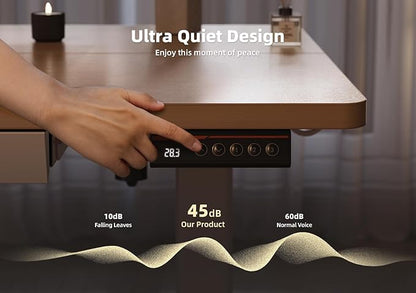 YDN Standing Desk with Drawers, Height Adjustable Desk 48 x 24 Inch, Electric Sit Stand Home Office, Natural