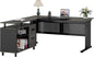LITTLE TREE Large Computer Desk with File Cabinet, 63 Inch Executive Desk L Shaped Office Desk with Drawers and Storage Shelves, Business Furniture Desk Workstation for Home Office