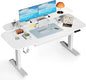 COMHOMA Electric Standing Desk with Drawers, 48 x 24'' Sit Stand up Desk with Monitor Stand, Laptop Stand, Height Adjustable Ergonomic Home Office Computer Desk with Memory Preset Controller