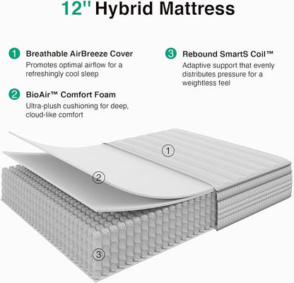 Novilla Queen Mattress, 12 Inch Queen Size Mattresses in a Box with Smarts™ Pocket Coil for Pressure Relief, Medium Firm Foam and Spring Hybrid Colchones with CertiPUR-US Certified