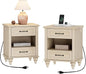 WAMPAT Set of 2 End Tables with Charging Station, 2 Drawer Nightstand for Bedroom with Storage Shelf, 2 Pack Wooden End Tables Bedside Table for Living Room, Beige