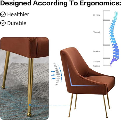 Velvet Dining Chairs Set of 2, Furniture Collection Modern Contemporary Upholstered with Polished Gold Metal Legs(Brown, Set of 2)