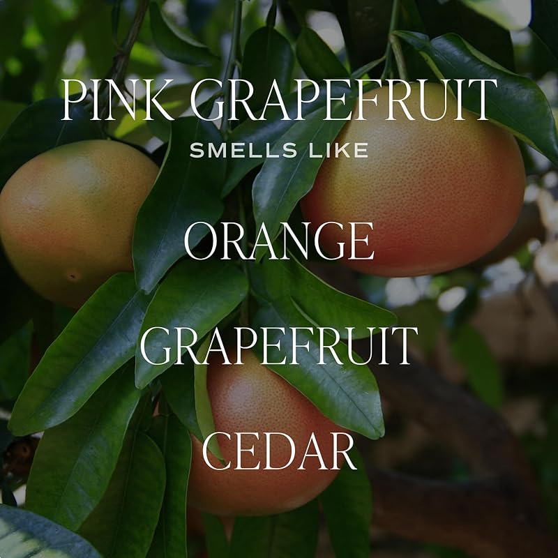 Sweet Water Decor Pink Grapefruit Reed Diffuser – Room Decor Aesthetic with Long-Lasting Premium Fragrance of Grapefruit, Orange, Strawberry, Jasmine, and Cedar for 4 Months – Ideal for Home Decor