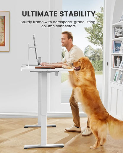 ErGear Height Adjustable Electric Standing Desk, 55 x 28 Inches Sit Stand up Desk, Large Memory Computer Home Office Desk with Two-Piece Desktop (White)