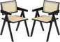 Rattan Dining Chairs Set of 2, Modern Mid Century Dining Chairs with Arms, Outdoor Bamboo Chairs for Bedroom, Living Room, Reading Room, Black