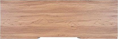 SAFAVIEH Home Collection Ophelia Oak Brown 2-Door 2-Shelf Entertainment Media Stand (Fits up to a 50" Flatscreen TV)