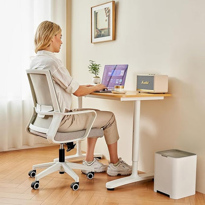 Office Chair ergonomically Designed with Breathable mesh backrest and Lumbar Support Adjustable Height Suitable for Offices Homes bedrooms Study Rooms Grey