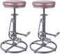 Topower Vintage DIY Bar Stool Bicycle Chain Iron Pedal Retro Industrial Height Adjustable Bicycle Wheel Design bar Chair Set of 2 Silver