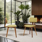 Armen Living Jaguar Mid-Century Dining Chair in Walnut Wood and Green Fabric - Set of 2