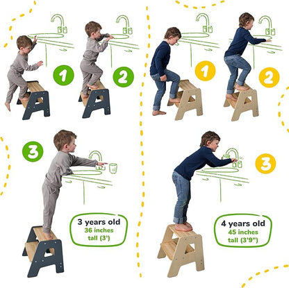 2-Step Wooden Step Stool for Toddlers | Kids Stool for Bathroom Sink & Kitchen Use | Non-Slip Step | Wooden Stool for Children Ages 2+ Years Varnished