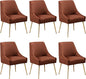 Modern Velvet Dining Chairs Set of 6, Contemporary Upholstered Furniture Collection with Polished Gold Metal Legs, Elegant Accent Chairs for Kitchen Living Room(Brown)