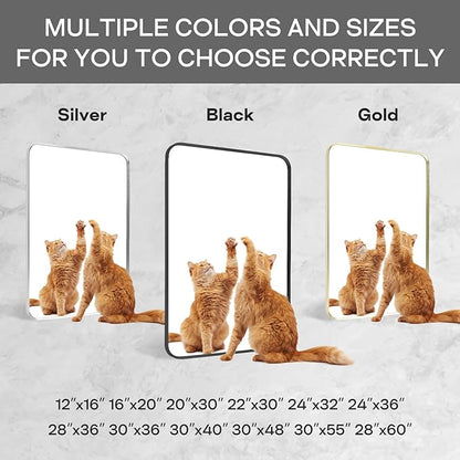 Black Framed Bathroom Mirror for Wall, Matte Black Rounded Corner Rectangle Vanity Mirror, Brushed Frame, Tempered Glass, Anti-Rust, Hangs Horizontally or Vertically (24" x 32", Black)