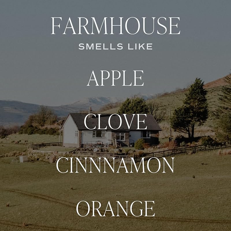 Sweet Water Decor Farmhouse Sandstone Reed Diffuser, Fall Scent with Pumpkin, Apple & Spices, Long-Lasting Non-Toxic Fragrance Oil for Living Room, Kitchen & Bathroom, Cozy Autumn Gift for Her