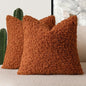Foindtower 2 Pieces 20x20 Inch Burnt Orange, Faux Fur Throw Pillow Cover Accent Sherpa Furry Pillow Cover Fuzzy Soft Pillowcases Cozy Sheepskin Decorative Fleece Cushion Case for Bed Couch Living Room
