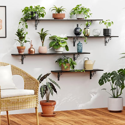 DINZI LVJ Long Wall Shelves, 23.6 Inch Large Floating Shelves Set of 2, Wide Display Shelf Wall Mounted with Brackets, Easy Hanging for Living Room, Toilet, Office, Bedroom, Espresso