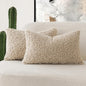 Foindtower Set of 2 Curly Teddy Wool Pillow Covers Decorative Boucle Textured Lumbar Throw Pillow Faux Fur Pillowcases Sheepskin Cushion Case for Sofa Bedroom Car 12"x20" Light Khaki