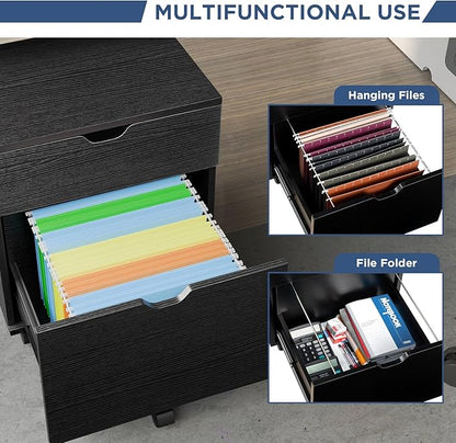 HollyHOME File Cabinet, 2 Drawers Filing Cabinet for Home Office, with Wheels, for A4, Letter Sized Documents, Hanging File Folders,Black