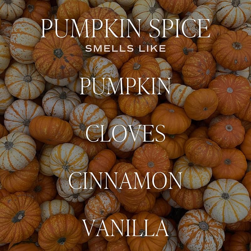 Sweet Water Decor Pumpkin Spice Reed Diffuser, Autumn Scented Premium Fragrance, Long-Lasting Air-Freshener for Home, Bathroom & Bedroom, Cozy Fall Gift for Women, Non-Toxic Oil, Lasts 4+ Months