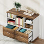 Tribesigns 2-Drawer Wood File Cabinet, Mobile Lateral Filing Cabinet for Hanging Letter Size Files, Printer Stand with Open Storage Shelves for Home Office (Oak Karo & White)