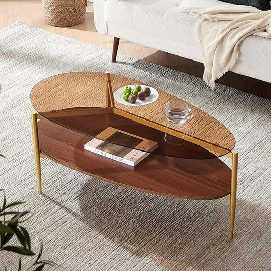 Oval Glass Coffee Table, Mid-Century Modern Design, L43 x W21 x H17 inch, for Living Room, 2-Tier Structure, Amber Glass Top, Walnut Finish Wood Shelf & Gold Finish Frame