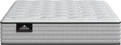 Kingsdown Passions Imagination Plush Mattress, Queen