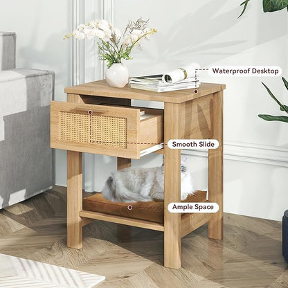 IBUYKE Rattan Nightstand Set of 2, Boho Night Stand with Drawer, Wood Bedside Tables with Storage Shelf, End Table with Legs for Bedroom, Natural UWNS011N-2