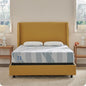 Sealy Dreamlife 10” Hybrid Mattress-in-a-Box, Twin XL, SealyComfort Gel Memory Foam, SealyResponsive Encased Coils, Surface-Guard Technology