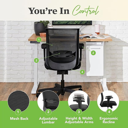 HON Convergence Ergonomic Office Chair, Breathable Back Support Mesh, Adjustable Arms, Computer Chair with Lumbar Support, Rolling Swivel Wheels, Comfortable Synchro-Tilt Recline, Fabric, Apricot