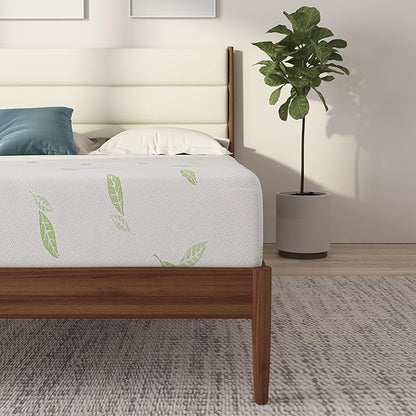 NapQueen King Size, 12 Inch Anula Green Tea Infused Memory Foam Mattress, Bed in a Box, CertiPUR-US Certified Mattress