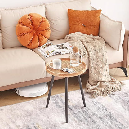 LITA 2 Pcs Rattan Log Desktop Round Side End Table, Nightstand/Small Tables, Indoor Outdoor Wooden Tray Table with Metal Stand End Table for Living Room Bedroom Office Small Spaces