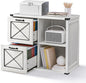 VASAGLE Lateral File Cabinet, Filing Cabinet with 2 Drawers, Printer Stand, 2 Open Compartments, Fit A4, Letter Size, Hanging File Folders, for Home Office, Farmhouse Style, Rustic White UOFC049T73