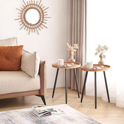 LITA 2 Pcs Rattan Log Desktop Round Side End Table, Nightstand/Small Tables, Indoor Outdoor Wooden Tray Table with Metal Stand End Table for Living Room Bedroom Office Small Spaces