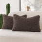 Foindtower Set of 2 Curly Teddy Wool Pillow Covers Decorative Boucle Textured Lumbar Throw Pillow Faux Fur Pillowcases Sheepskin Cushion Case for Sofa Bedroom Car 12"x20" Chocolate