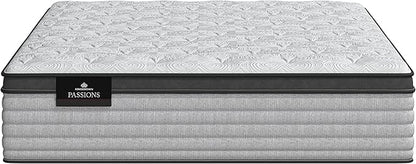 Kingsdown Passions Aspiration 14.75" Pillow Top Mattress Twin XL