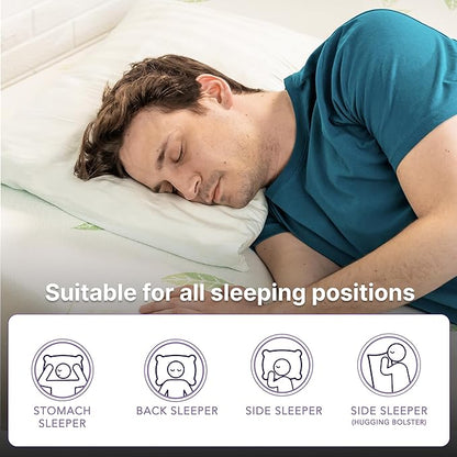NapQueen Twin XL Size, 8 Inch Anula Green Tea Infused Memory Foam Mattress, Bed in a Box, CertiPUR-US Certified Mattress