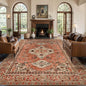 Tangsoo 5x7 Area Rug Washable for Living Room, Vintage Rug Indoor Non Slip Large Area Rugs, Print Distressed Terracotta Carpet, Soft Low Pile Rug Foldable Floor Rugs for Bedroom Dining Room Dorm