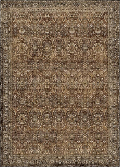 6X9 Area Rugs Machine Washable Rugs for Living Room, Vintage Boho Large Rugs for Bedroom Dining Room, Non Slip Indoor Soft Distressed Lightweight Thin Low Pile Carpet, Rustic Brown