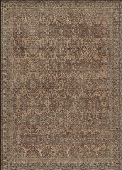 10X14 Area Rugs Machine Washable Rugs for Living Room, Vintage Boho Large Rugs for Bedroom Dining Room, Non Slip Indoor Soft Distressed Lightweight Thin Low Pile Carpet, Rustic Brown