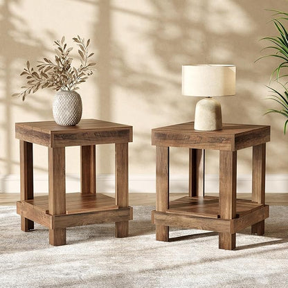 LITTLE TREE End Table Set of 2, All Wooden 2-Tier Square Side Table with Storage Shelves, Farmhouse Style Side End Table for Living Room, Small Bedside Table Nightstand for Bedroom, Reclaimed Natural